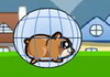 Game Hamster xuống đồi